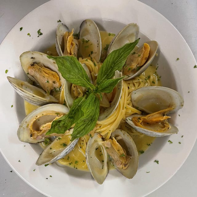 Linguine Clams Sauce (White or Red).